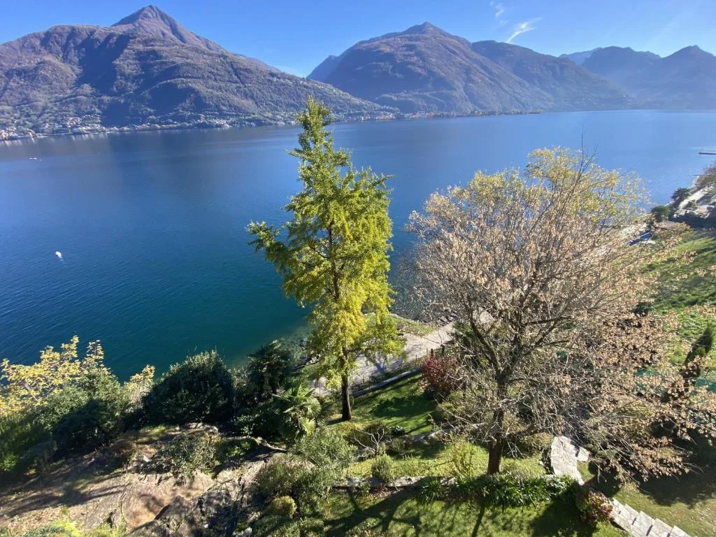 apartment_platanus-27