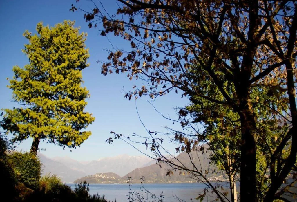 apartment_platanus-35