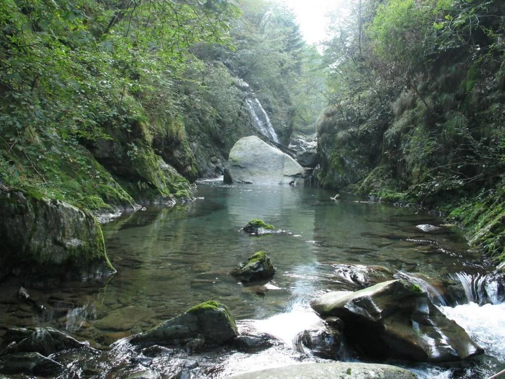 green_nest_lake-2